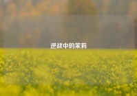 逆战中的茉莉