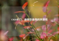 CSGO水门，最阴也最亮的风景线