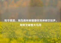 和平精英，海岛雨林躲猫猫惊现神秘空投声，妍妍艺星整大乌龙