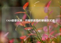 CSGO勋章玩具，开箱即退隐的硬核仪式感