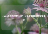 COD16内存不足怎么办？从排查到解决的完整指南