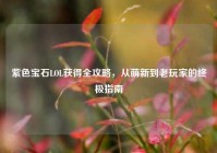 紫色宝石LOL获得全攻略，从萌新到老玩家的终极指南