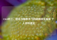 CSGO叶三，枪法与幽默齐飞的战场快乐源泉 个人资料速览