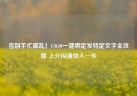 告别手忙脚乱！CSGO一键绑定发特定文字全攻略 上分沟通快人一步