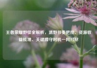 王者荣耀野怪全解析，清野节奏把控、资源收益梳理、关键蹲守时机一网打尽