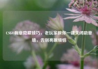 CSGO胸章隐藏技巧，老玩家教你一键关闭勋章墙，告别亮眼烦恼
