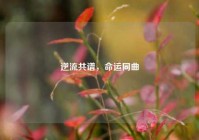 逆流共谱，命运同曲