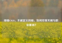 绿桃CSGO，不被定义的桃，如何炸穿天梯与职业赛场？