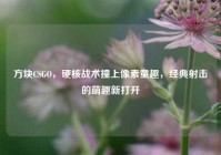方块CSGO，硬核战术撞上像素童趣，经典射击的萌趣新打开