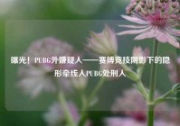 曝光！PUBG外嫌疑人——赛博竞技阴影下的隐形牵线人PUBG处刑人