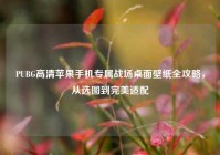 PUBG高清苹果手机专属战场桌面壁纸全攻略，从选图到完美适配