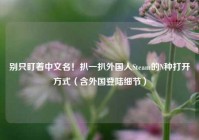 别只盯着中文名！扒一扒外国人Steam的N种打开方式（含外国登陆细节）