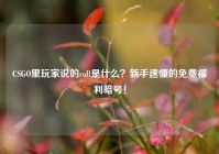 CSGO里玩家说的roll是什么？新手速懂的免费福利暗号！