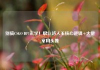 别搞CSGO DPI玄学！职业路人王核心逻辑+大佬常用头像