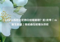 CSGO学AK练枪总犯困白给瞎刷墙？配3类带「AK原生鼓感」练枪曲压枪爆头双收