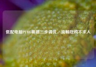 低配电脑PUBG画质三步调优，流畅吃鸡不求人