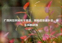 广西阿哲阿灿和平精英，刚枪搭地道乡音，快乐嗨翻战场
