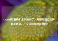 CSGO掉胶囊吗？全攻略来了，从获取路径到开箱小确幸，一文讲透你想知道的！