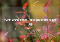 逆战艳后宝箱大揭秘！里面竟藏着这些稀有宝贝！