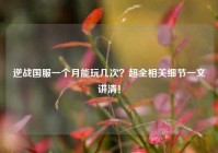 逆战国服一个月能玩几次？超全相关细节一文讲清！