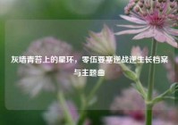 灰墙青苔上的星环，零伍要塞逆战逆生长档案与主题曲