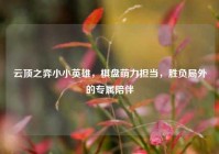 云顶之弈小小英雄，棋盘萌力担当，胜负局外的专属陪伴