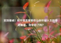 笑到捶桌！和平精英里那些让你怀疑人生的奇葩画面，你中招了吗？