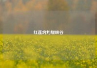 红莲灼灼耀峡谷