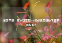 王者荣耀，版本玩家都pick的必选英雄缺了真不能玩吗？