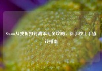Steam从找折扣到薅羊毛全攻略，新手秒上手省钱指南