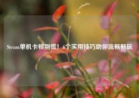 Steam单机卡顿别慌！6个实用技巧助你流畅畅玩
