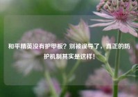 和平精英没有护甲板？别被误导了，真正的防护机制其实是这样！