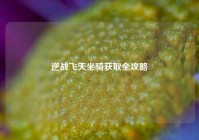 逆战飞天坐骑获取全攻略