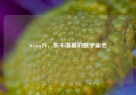 SteamTV，永不落幕的数字庙会