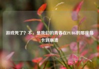 游戏死了？不，是我们的青春在PUBG的那座岛卡到崩溃