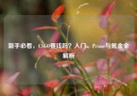 新手必看，CSGO要钱吗？入门、Prime与氪金全解析