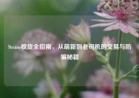 Steam收货全指南，从萌新到老司机的交易与防骗秘籍