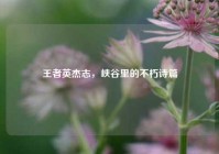 王者英杰志，峡谷里的不朽诗篇