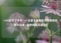 CSGO打不了中文——这是不是你每次开黑前必搜的百度+贴吧同款关键词？