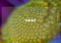 铁雾海权