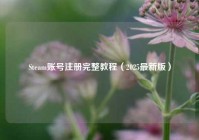 Steam账号注册完整教程（2025最新版）