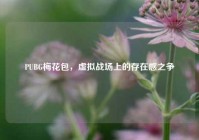 PUBG梅花包，虚拟战场上的存在感之争