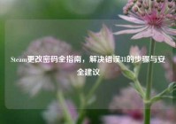 Steam更改密码全指南，解决错误31的步骤与安全建议