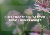 CSGO流星专属QQ头像+照片，不止是一张图，更是老枪迷藏在列表里的热血锚点