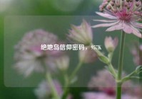 绝地岛信仰密码，957K