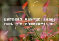 踏浪穿云摘星落！解锁和平精英「水桃滑翔」的同时，也好奇一亩桃树到底能产多少桃胶？
