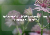 逆战天神套单件，散落战场的星辰碎片，独立成锋聚则成刃，哪个好？