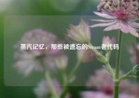 蒸汽记忆，那些被遗忘的Steam老代码