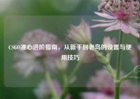 CSGO准心进阶指南，从新手到老鸟的设置与使用技巧