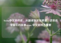 Steam中文游戏名，从翻译到文化桥梁，这些名字背后的故事steam 中文游戏名搜索